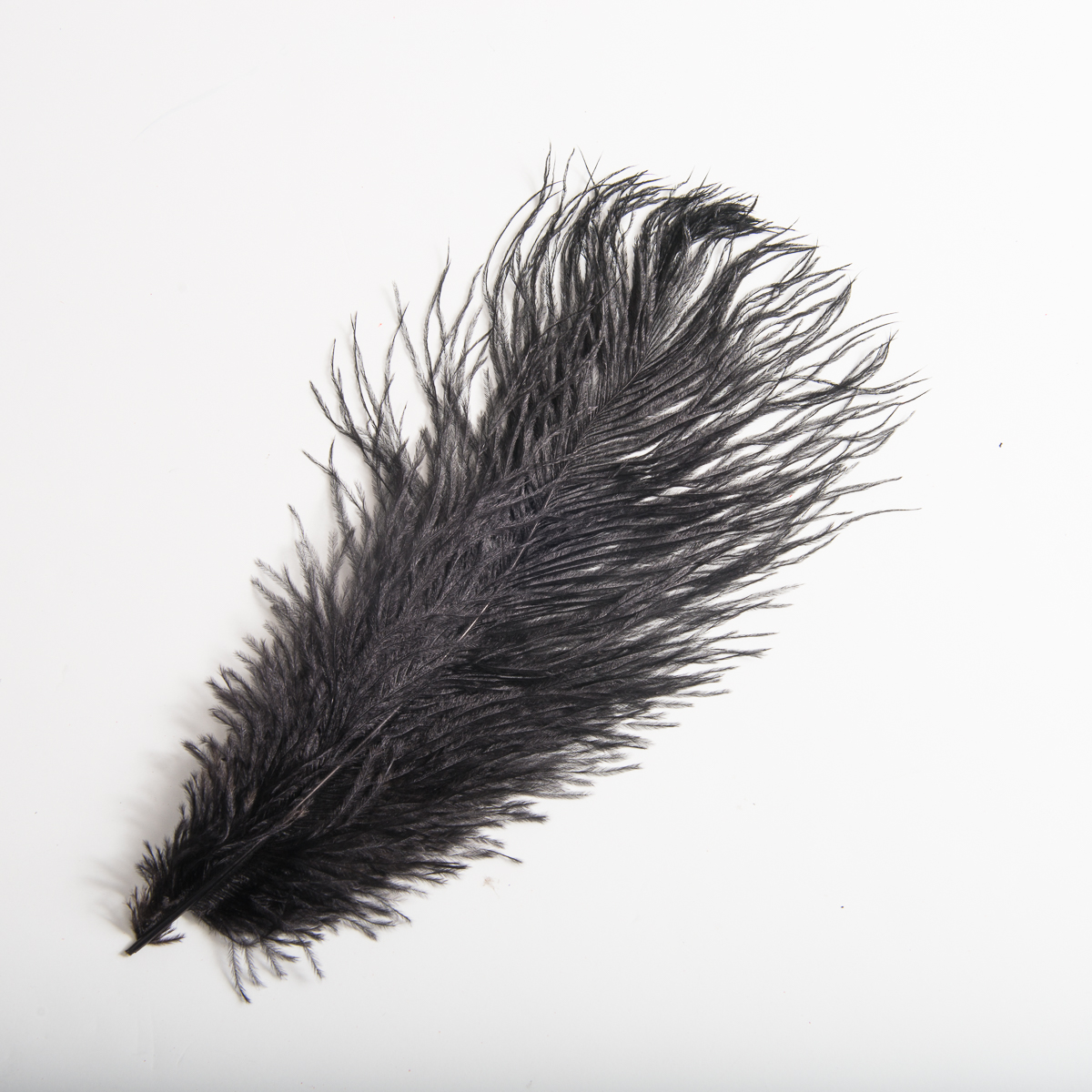 801083-12-12DZ Black Ostrich Feather 10 - 12 Inch - Dozen