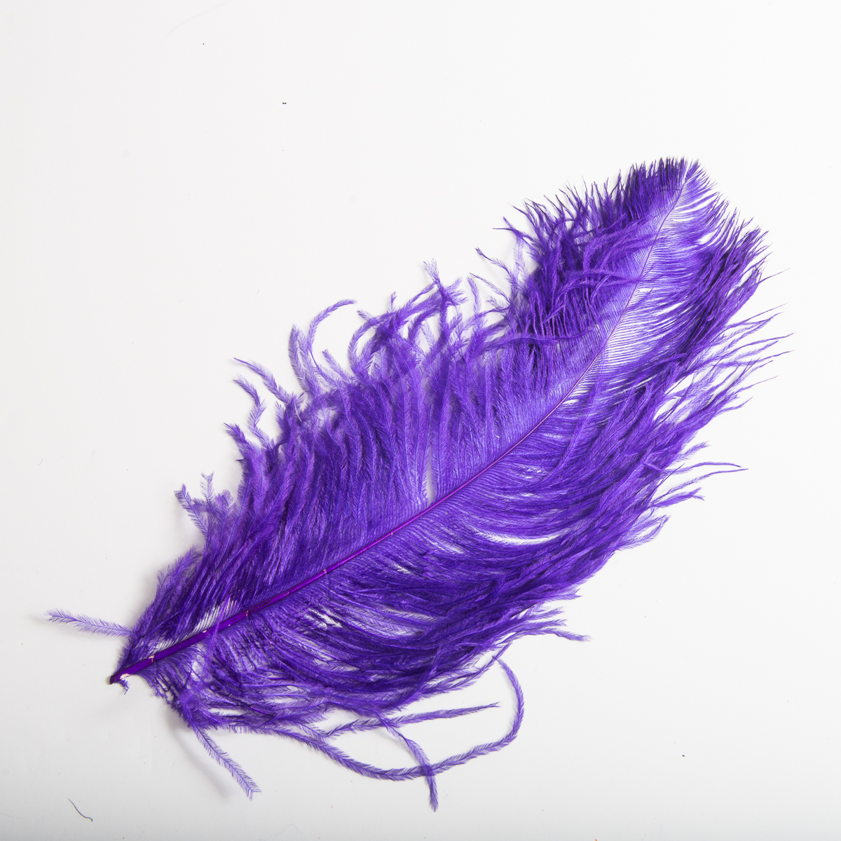 801083-39-14DZ Purple Ostrich Feather 12 - 14 Inch - Dozen