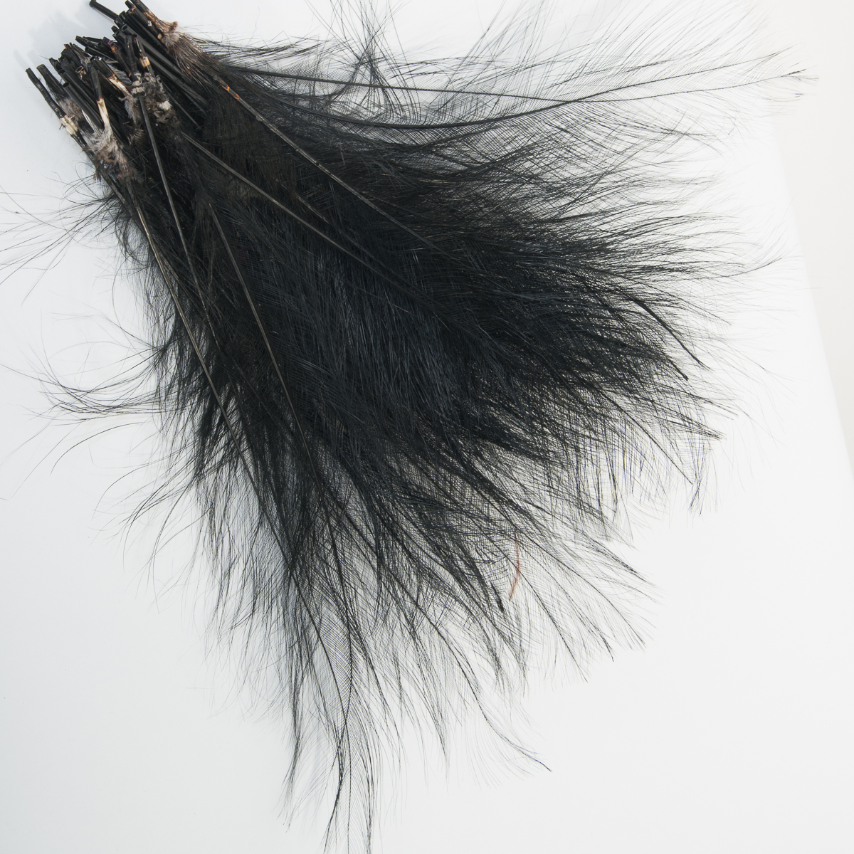 DF-BOST12-12 Black 12-14'' Burnt Ostrich Feather Trims By Piece