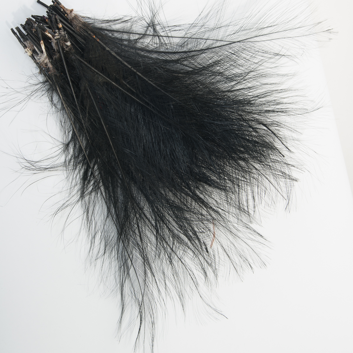 Black 12-14'' Burnt Ostrich Feather Trims By Piece